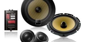 
PIONEER TS-E171Ci
